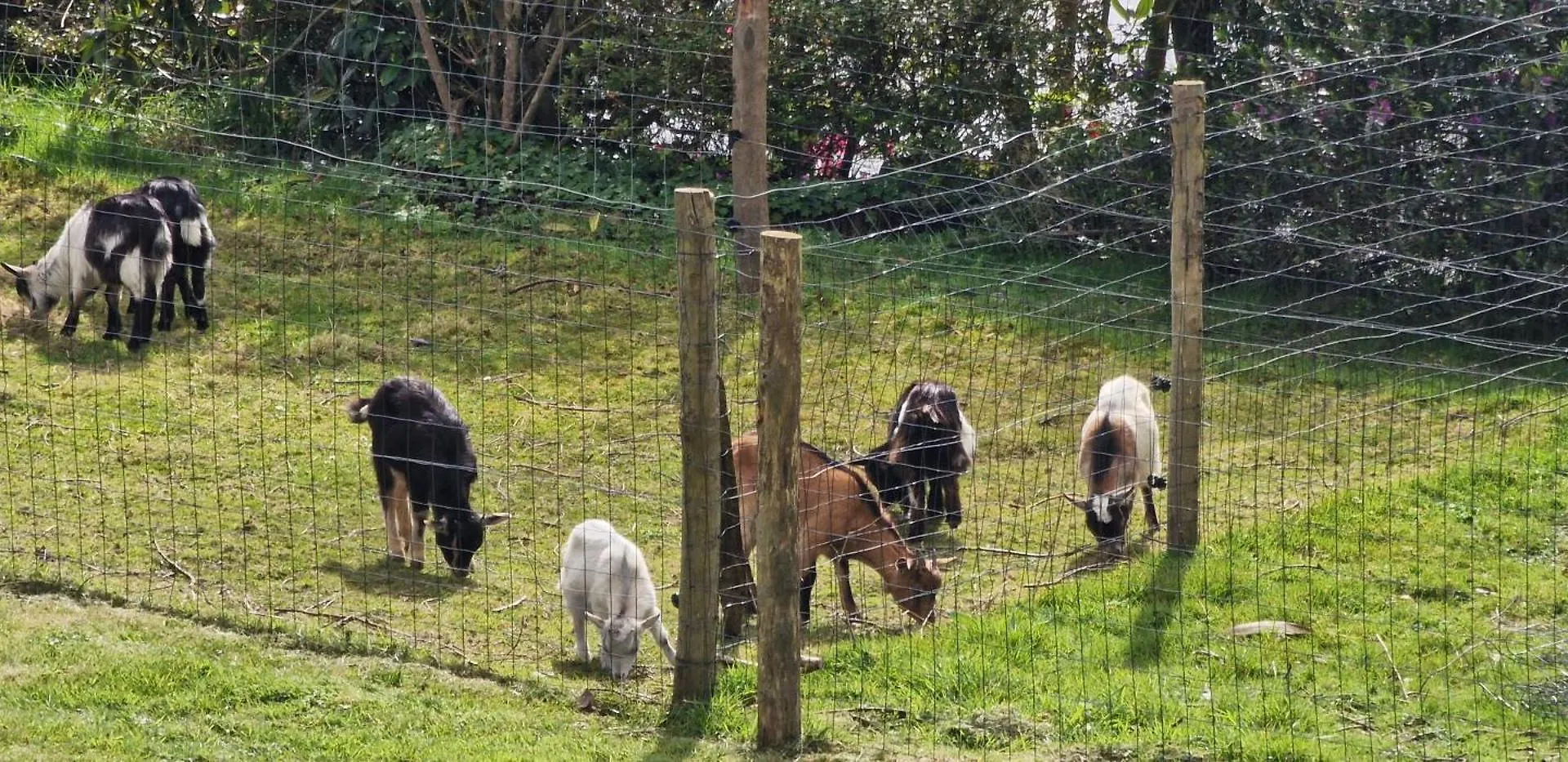 Dom wakacyjny Willa La Ferme De L'Etang Trélévern